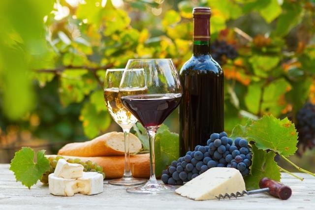 Le terroir français : immersion dans les grandes régions viticoles