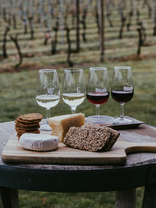 Vins et Food Pairing : Les Accords Incontournables