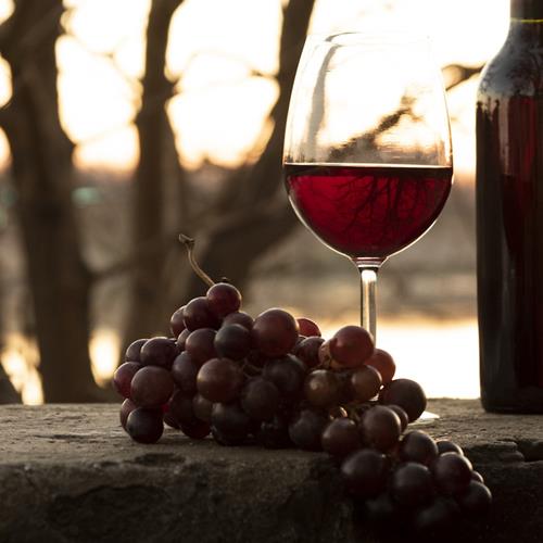 Les cépages oubliés qui méritent votre verre : à la découverte des vins rares