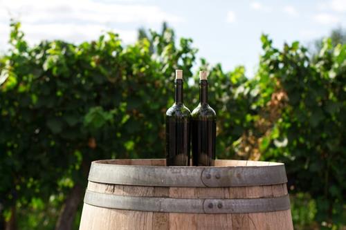 Les labels du vin expliqués simplement : AOP, IGP, bio, nature