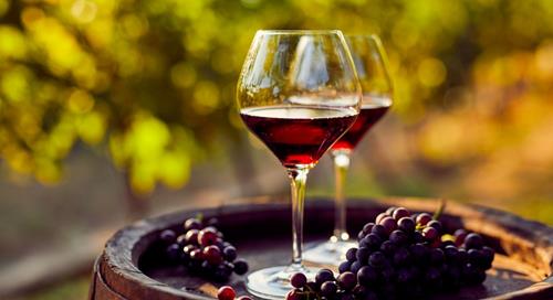 Vins naturels vs vins traditionnels : quelles différences ?