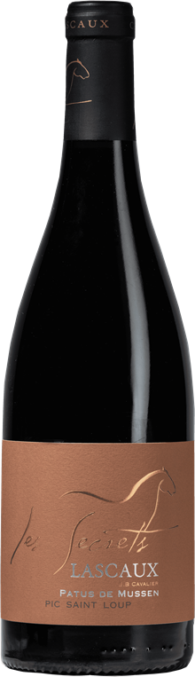 Pic Saint Loup Les secrets Cuvée Patus de Mussen 