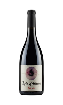 Pépin d'ailleurs Gamay