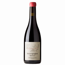Bourgogne Epineuil 2022