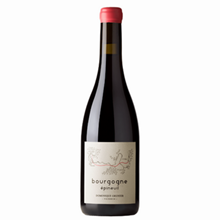 Bourgogne Epineuil 2023