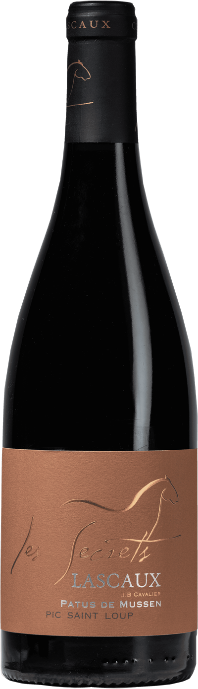 Pic Saint Loup Les secrets Cuvée Patus de Mussen  - Photo 1