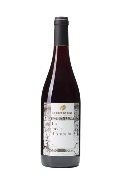 Beaujolais Cuvée d'Antonin - Photo 1