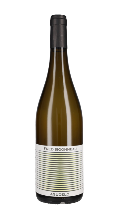 Valdegrulla Agudelo IGP Val de Loire - Photo 1
