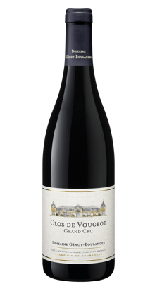 Clos de Vougeot Grand Cru - Photo 1