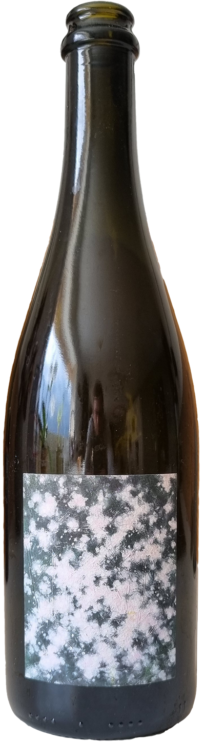 Crémant de Savoie Chant des Flocons Extra Brut - Photo 1