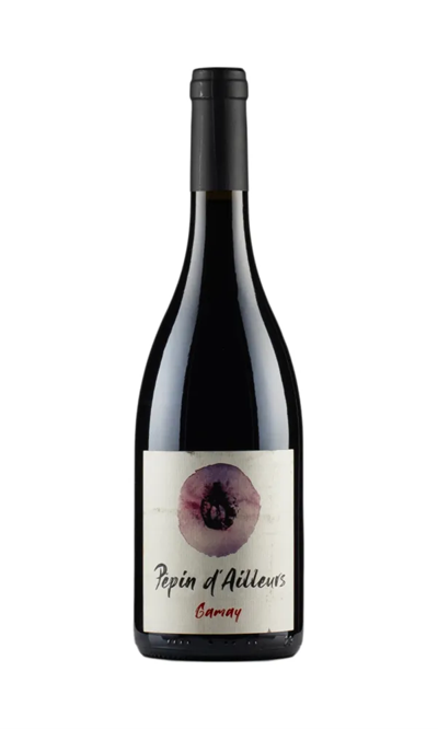 Pépin d'ailleurs Gamay - Photo 1