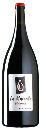 La Marcette Ploussard - Photo 1