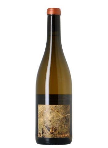 Terre de Pierre Muscadet Sèvre et Maine - Photo 1