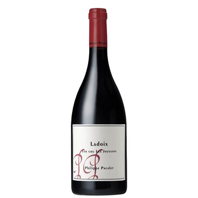 Magnum Ladoix 1er cru Les Joyeuses - Photo 1
