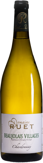 Beaujolais villages Chardonnay 2022 - Photo 1