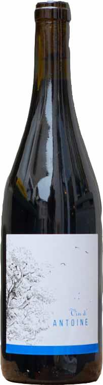 Vin d'Antoine  - Photo 1