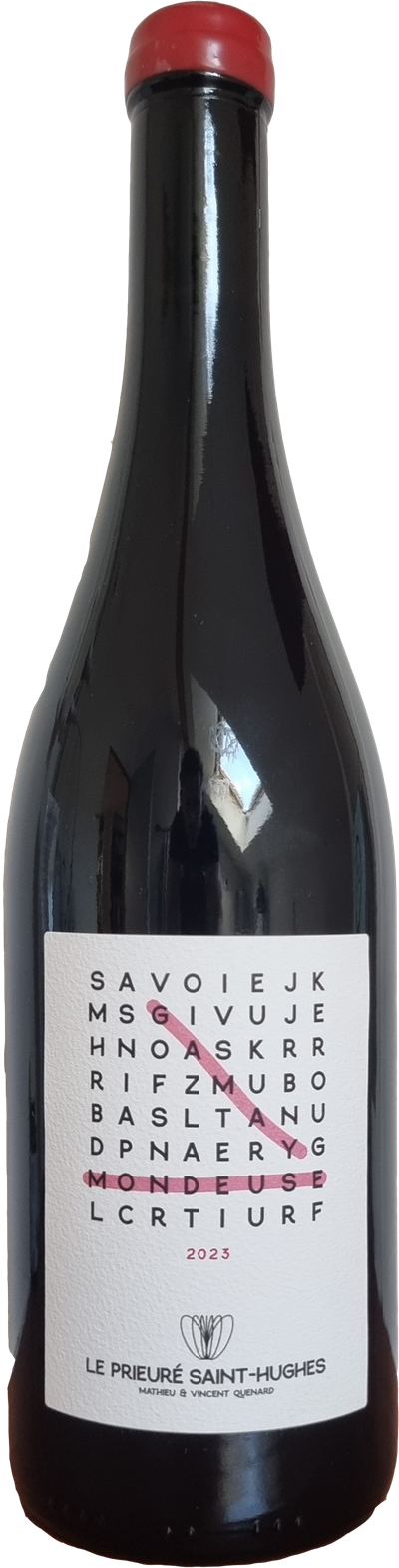 Gamay-Mondeuse - Photo 1
