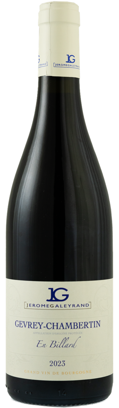 Gevrey-Chambertin En Billard - Photo 1