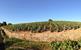 Domaine Steeve Charvet