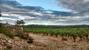 Domaine Cailhol Gautran