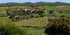 Domaine Gauby