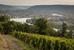 Domaine du Monteillet - Montez