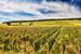 Domaine Nudant 