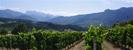 Domaine Truchefaud