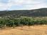 Domaine La Jasse Castel