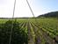 Domaine de Mingraut