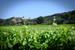 Domaine La Cadenière