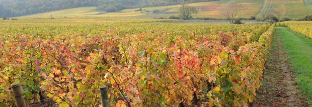 Domaine Besson