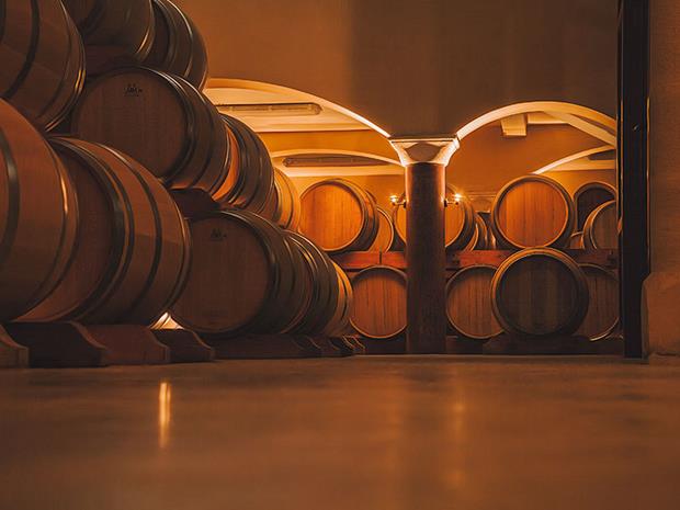 Vignobles Dupuy