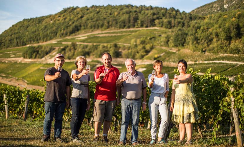 Domaine Carrel & Senger