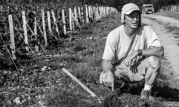 Champagne Vouette & Sorbée