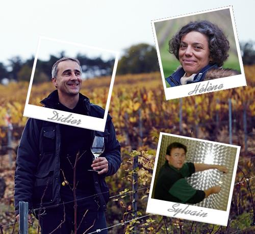 Domaine Bernard Defaix