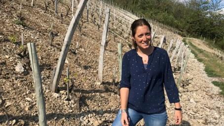 Domaine Céline Jacquet