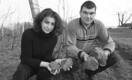 Domaine Cosse & Maisonneuve