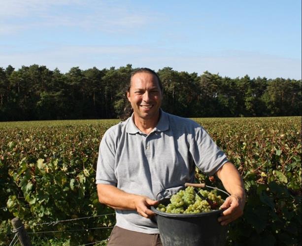 Domaine Jean Goulley & Fils 