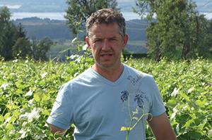 Les Vignes de Paradis
