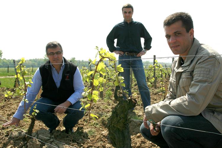 Domaine Michel