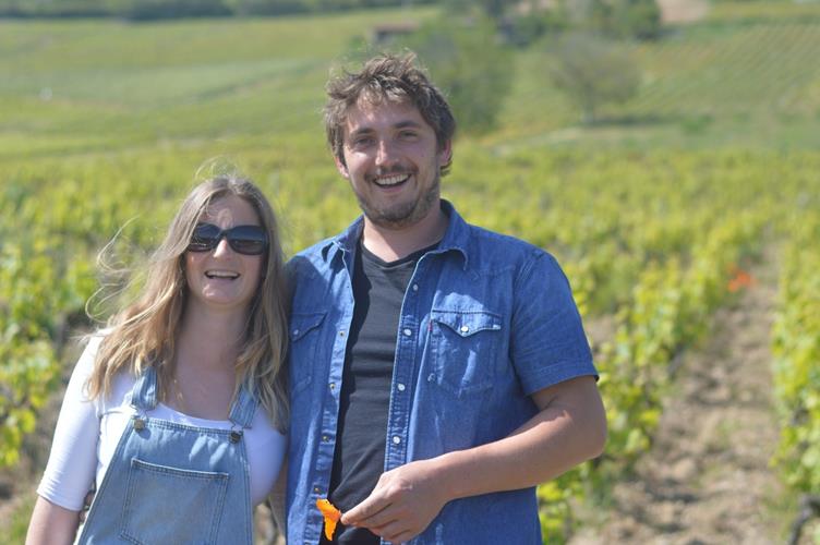 Domaine Bonnet Cotton