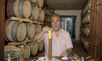 Bodegas Fernández Herrero