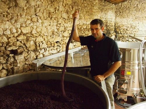 Domaine Montcalmès
