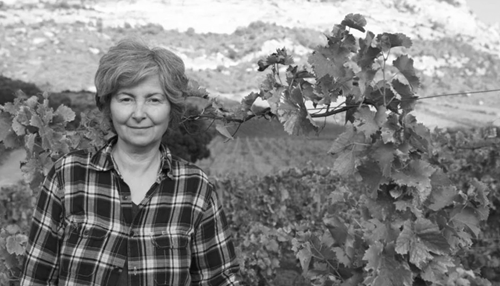 Domaine Muriel Giudicelli