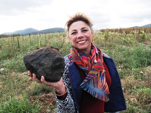 Domaine La Jasse Castel