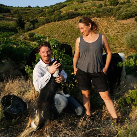 Domaine Lanye-Barrac Viti Farm